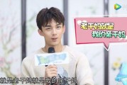 吃瓜娱乐圈吴磊,娱乐圈的瓜田新秀，青春活力演绎无限可能